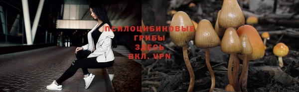 экстази Инсар