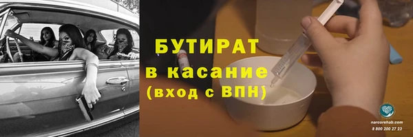 сатива Каменногорск