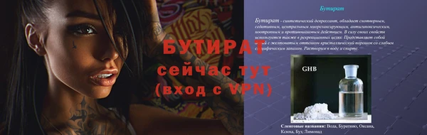 сатива Каменногорск