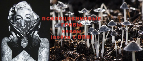 ПСИЛОЦИБИНОВЫЕ ГРИБЫ Касимов