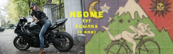 сатива Каменногорск